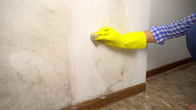 Asbestos and Lead Testing During Mold Inspection in Blackhawk, SD