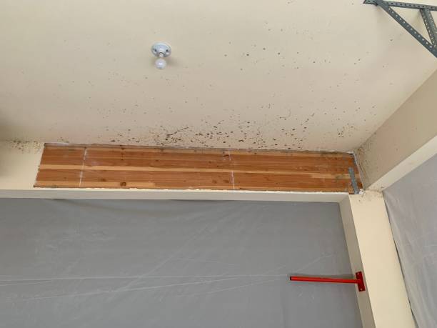 Best Comprehensive Air Testing for Mold Contaminants  in Blackhawk, SD