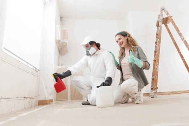 Best Indoor Air Quality Assessment  in Blackhawk, SD