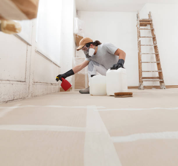 Best HVAC Mold Inspection and Cleaning  in Blackhawk, SD